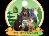 Tif. pets Forever