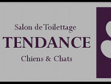 Tendance chiens & chats