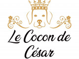 Le Cocon de César