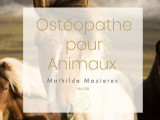 Mazieres Mathilde ostéopathe pour animaux