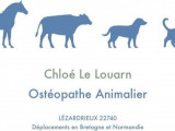 Chloé Le Louarn - ostéopathe animalier