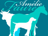 Amélie Faure ostéopathe animalier