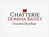 Chatterie Domina Bastet cattery