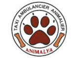 Animalya