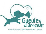 Association Gueules d'Amour Mayotte