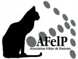 Association Féline de Pontoise (AFelP)