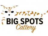 Big Spots Cattery