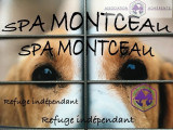 Pension de la SPA de Montceau-les-Mines