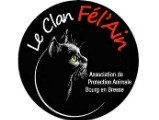 Le Clan Fél'Ain