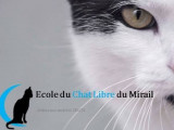 Ecole du Chat Libre du Mirail