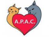 Association de Protection Animale Castelviroise (APAC)