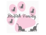 Cattery British Family