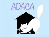 Association des Amis des Chats Abandonnés (ADACA)