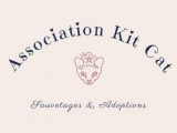 Association Kit Cat