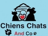 Chiens Chats And Co (CCAC)