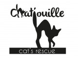 Chat'ouille Cats Rescue
