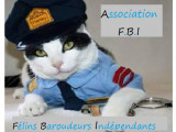 Félins Baroudeurs Indépendants (FBI)