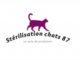 Stérilisation Chats 87
