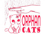 Orphan Cats