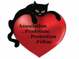 Association Pradétane Protection Féline (APPF)