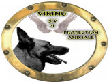 Vikings SV2L