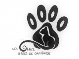 Les Chats libres de Caussade et du Pays caussadais