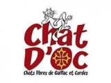 Chat d’Oc — Chats Libres de Cordes, Gaillac et environs