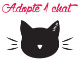 Adopte 1 chat