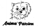 Anima'Passion Pamiers