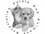 Parole Aux Animaux