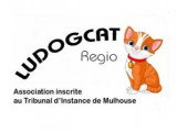 La Maison des Chats — Ludogcat Regio