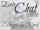 École du Chat Libre des Vosges du Nord
