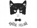 Amitié Féline