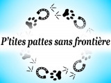 P'tites Pattes Sans Frontière