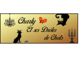 Charly et ses drôles de chats
