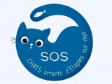 SOS Chats Errants d'Étaples