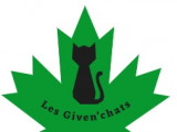 Les Given'chats