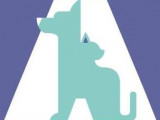 Action Adoption