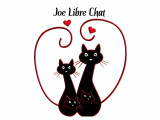 Joe Libre Chat