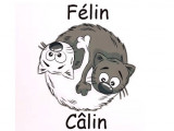 Félin Câlin