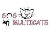 SOS Multicats