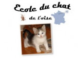 École du Chat de l'Oise