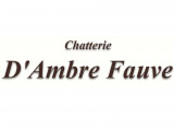 D'Ambre Fauve