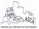 ASCA (Association pour la Stérilisation des Chats Andelysiens)
