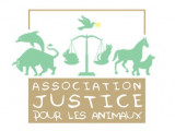 Justice Pour Les Animaux