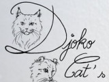 Djoko Cat’s