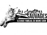 Sentiers Sauvages