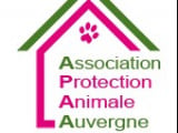 Association de Protection Animale Auvergne (APAA)
