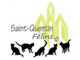 Saint-Quentin Félins