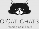 O'Cat Chats